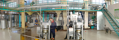 核桃油設(shè)備