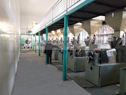 玉米油壓榨設(shè)備