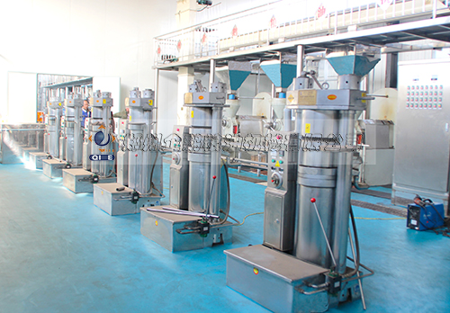 芝麻油壓榨設(shè)備