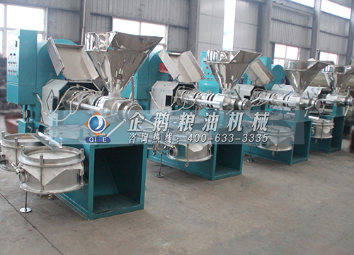 榨油機(jī)全套設(shè)備